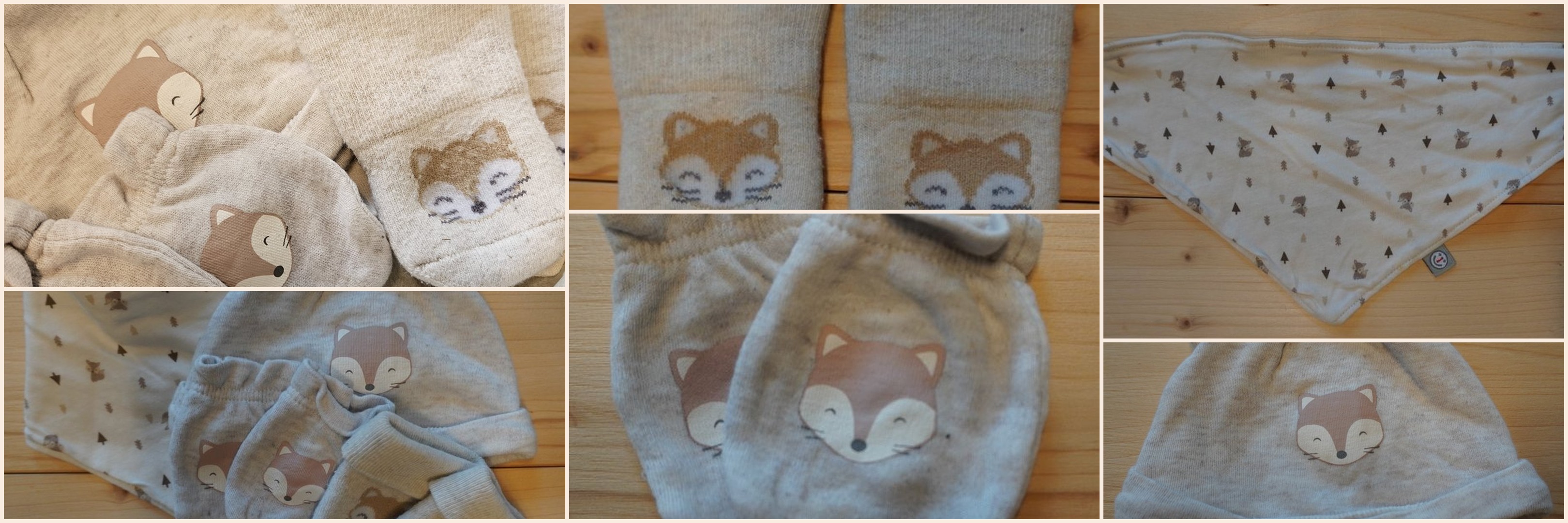 Fuchszeit