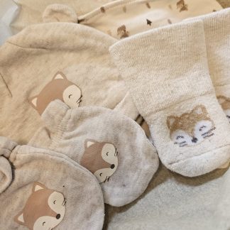 Fuchszeit